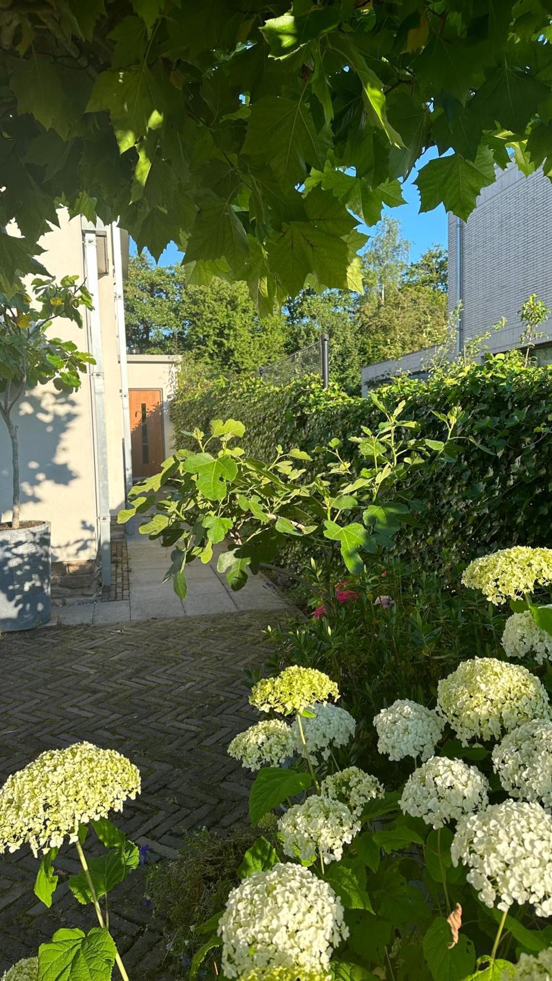 Luxe B&B "In De Schulp", Ontspan En Geniet Van Comfort En Stijl Amstelveen Dış mekan fotoğraf